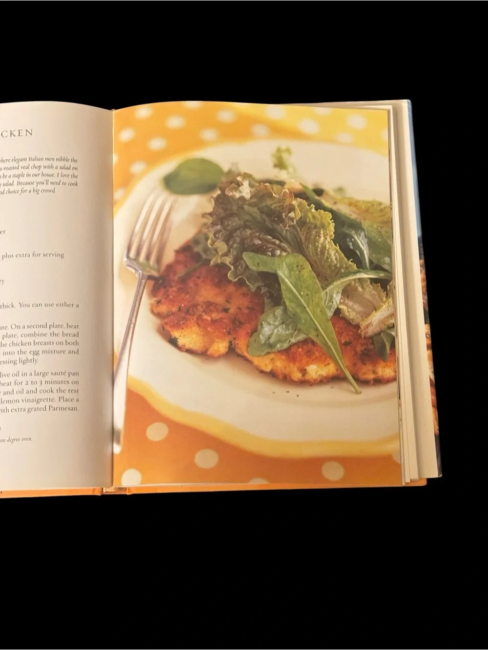 Ina Garten Barefoot Contessa Family Style Cookbook - good condition